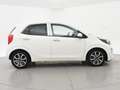 Kia Picanto 1.0 DPi DYNAMICPLUSLINE + CAMERA | NAVIGATIE | CAR Wit - thumbnail 21