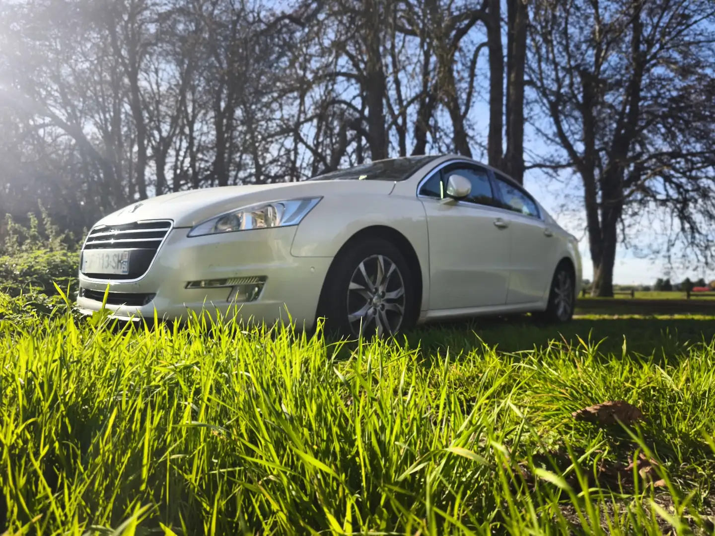 Peugeot 508 508 2.0 HDi 163ch FAP BVA6Allure A Blanc - 2