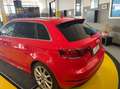 Audi A3 1.4 tfsi e-tron Ambition 150cv s-tronic Červená - thumbnail 7