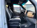 Mercedes-Benz Sprinter II Wohnmobil 313 CDI/Dusche/Bett Alb - thumbnail 15