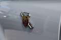 Abarth 500 Abarth 500 Grau - thumbnail 7