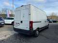Fiat Ducato 2.8 JTD Radstand 3700 Blanc - thumbnail 10