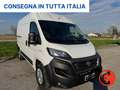 Fiat Ducato 35 122CV 47kWh(PM-TM-L2H2)FURGONE ELETTRICO-KM 470 Bianco - thumbnail 4
