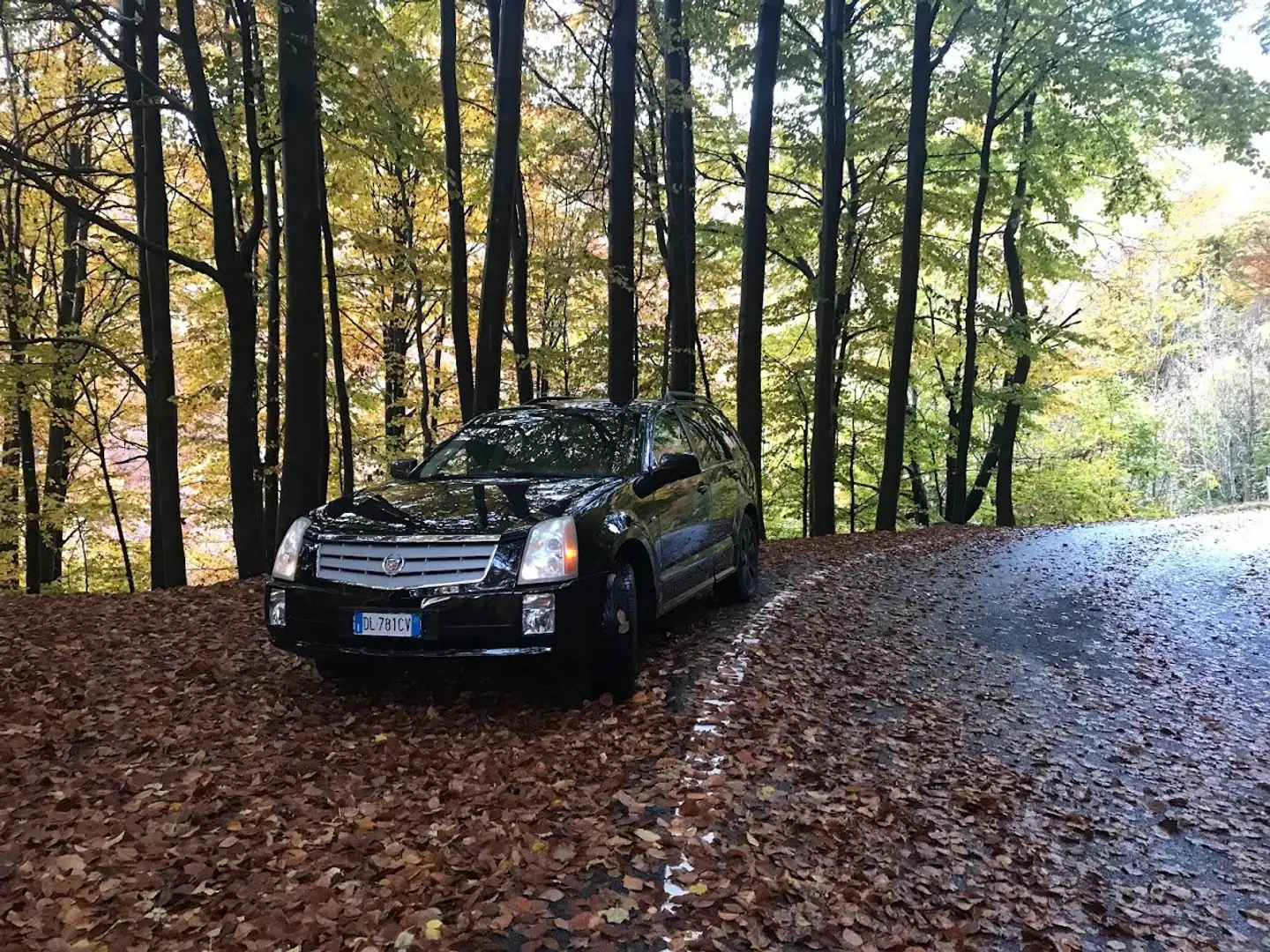 Cadillac SRX SRX4 3.6 V6 Elegance rwd auto GPL Zwart - 1