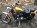 Harley-Davidson 1200 Custom žuta - thumbnail 5