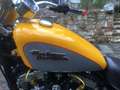 Harley-Davidson 1200 Custom žuta - thumbnail 6