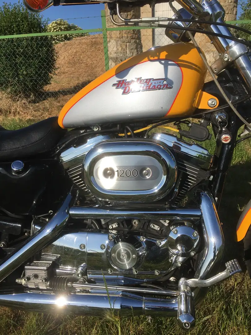 Harley-Davidson 1200 Custom Yellow - 2