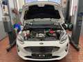 Ford Fiesta Titanium mit Original 7.960 km Blanc - thumbnail 22
