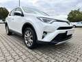 Toyota RAV 4 4 2.0 D-4D Edition AHK Navi Klima TÜV neu Blanc - thumbnail 4