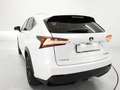 Lexus NX 300h Hybrid 4WD Executive bijela - thumbnail 14