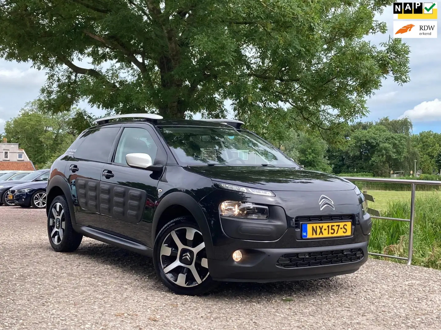 Citroen C4 Cactus 1.2 PureTech Rip Curl | Leder + Pano + Clima + Cru Noir - 1