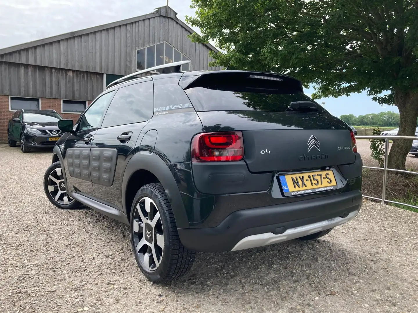Citroen C4 Cactus 1.2 PureTech Rip Curl | Leder + Pano + Clima + Cru Noir - 2