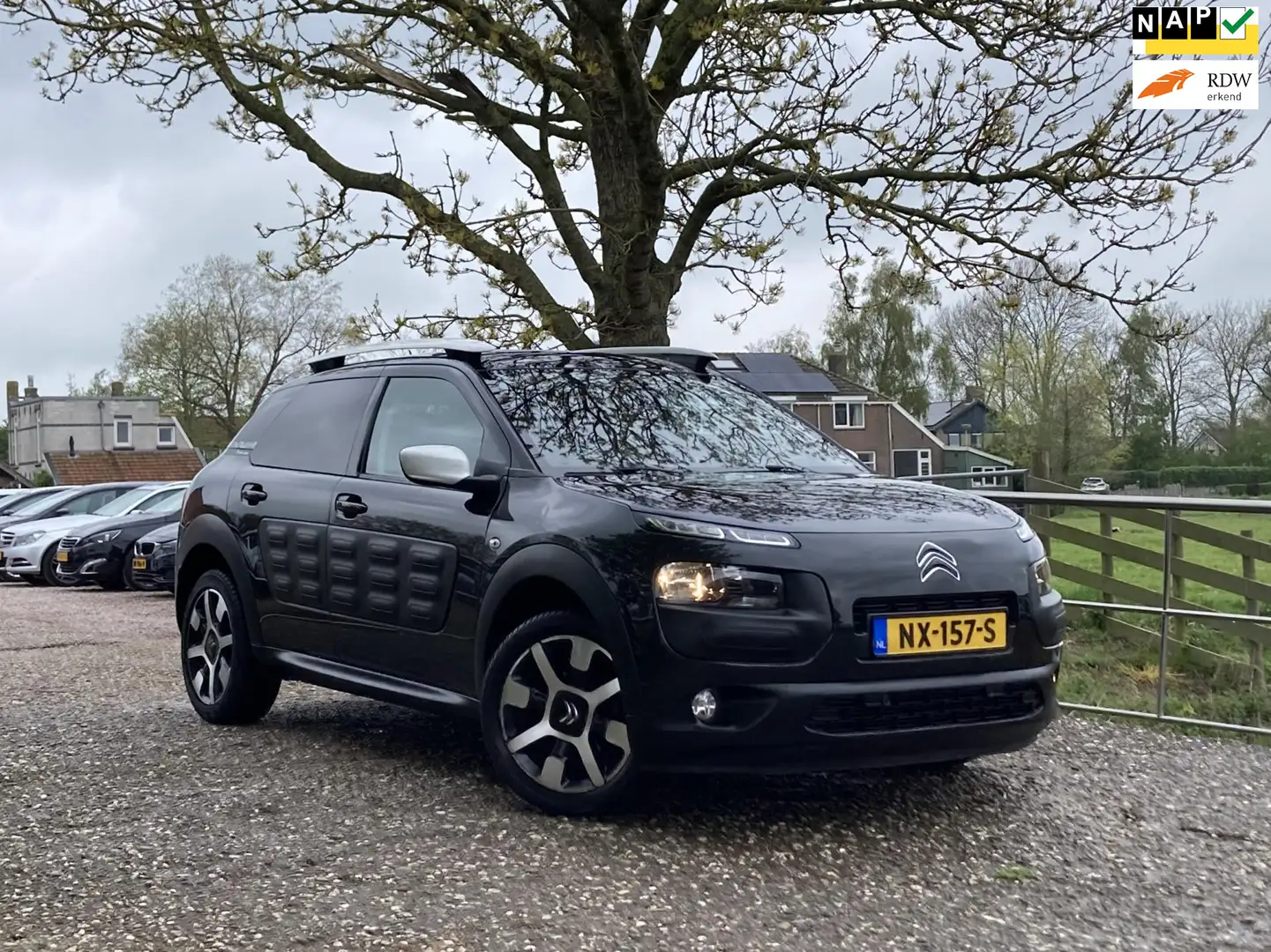 Citroen C4 Cactus 1.2 PureTech Rip Curl | Leder + Pano + Clima + Cru Nero - 1