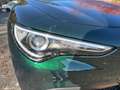 Alfa Romeo Stelvio 2.2 Turbo Diesel 190CV Business AT8 Q4 Verde - thumbnail 19
