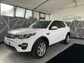 Land Rover Discovery Sport Discovery Sport 2.0 td4 Pure awd 180cv auto - thumbnail 15