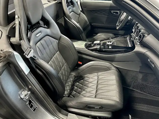 Mercedes-Benz AMG GT R Limited Ansicht 15