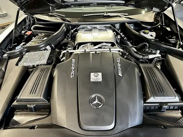 Mercedes-Benz AMG GT R Limited Roadster Ansicht 29