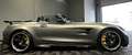 Mercedes-Benz AMG GT R Limited Roadster Grau - thumbnail 10