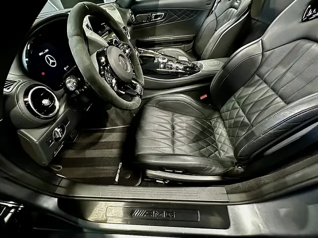 Mercedes-Benz AMG GT R Limited Ansicht 13