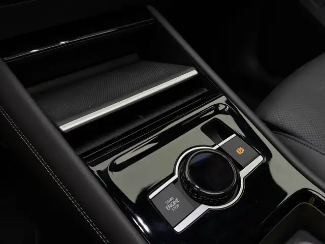 Volkswagen Tiguan view 13