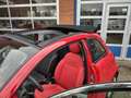 Fiat 500 E-24KW- Cabrio-Red Special Edition- 2000 Subsidie- Rood - thumbnail 24