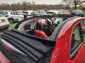 Fiat 500 E-24KW- Cabrio-Red Special Edition- 2000 Subsidie- Rot - thumbnail 9