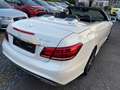 Mercedes-Benz E 250 E 250 CDI BlueEfficiency AMG Paket Weiß - thumbnail 6