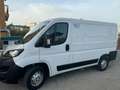 Fiat Ducato con frigo coibentato - thumbnail 2