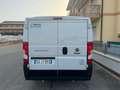 Fiat Ducato con frigo coibentato - thumbnail 3