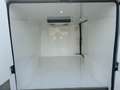 Fiat Ducato con frigo coibentato - thumbnail 4