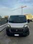 Fiat Ducato con frigo coibentato - thumbnail 1