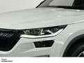 Skoda Kodiaq 2.0 TDI DSG 4x4 LED NAV PAN AHK STANDHZ Sportline Weiß - thumbnail 4