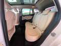BMW X1 X1 sDrive18d Advantage Bianco - thumbnail 12
