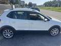 Volkswagen Polo Cross 5p 1.4 tdi bm - thumbnail 5