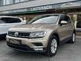 Volkswagen Tiguan 2.0 TDI Comfortline DSG *1.BESITZ *61.000KM *AHK Gelb - thumbnail 10