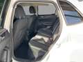 Volkswagen Polo Style 1.0TSI *Matrix-LED*Navi*App*SHZ* Weiß - thumbnail 13