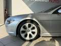BMW 645 Serie 6 E64 Cabrio 645Ci Cabrio - thumbnail 7