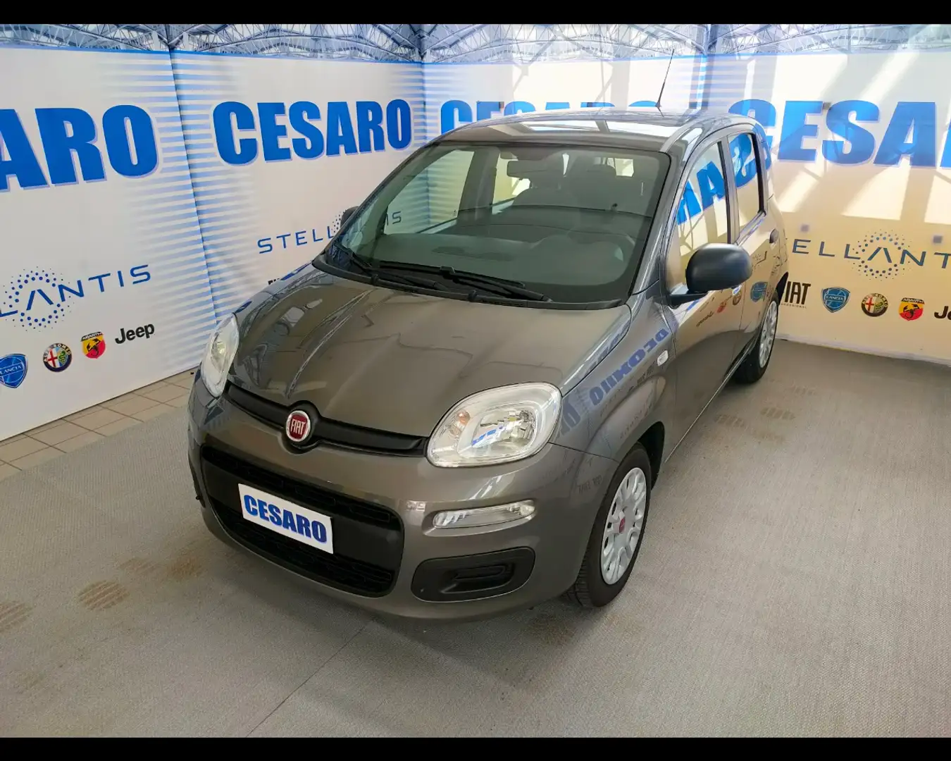 Fiat New Panda 1.0 FireFly Hybrid Grigio - 2