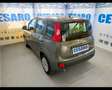 Fiat New Panda 1.0 FireFly Hybrid Grigio - thumbnail 4