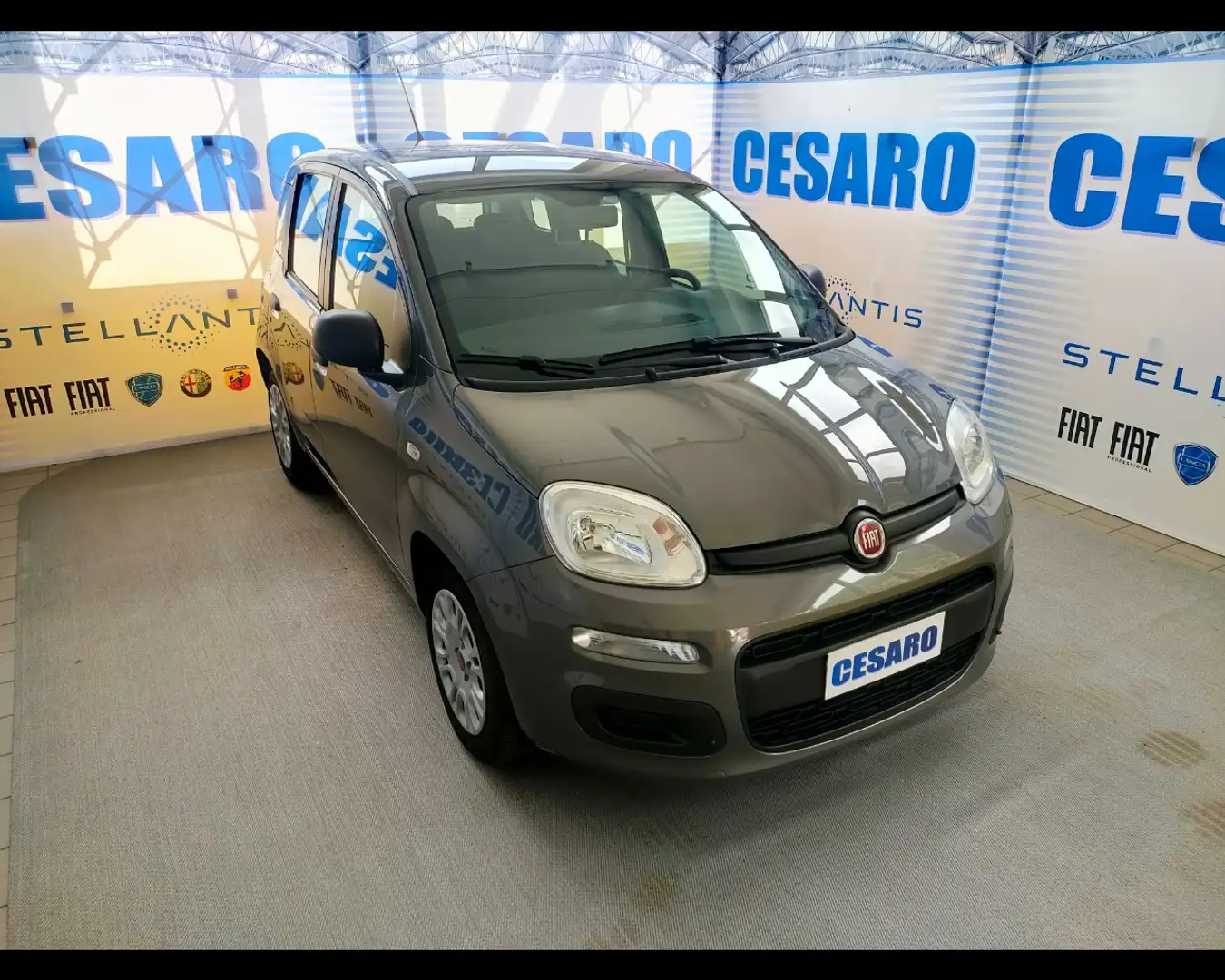 Fiat New Panda 1.0 FireFly Hybrid Grigio - 1