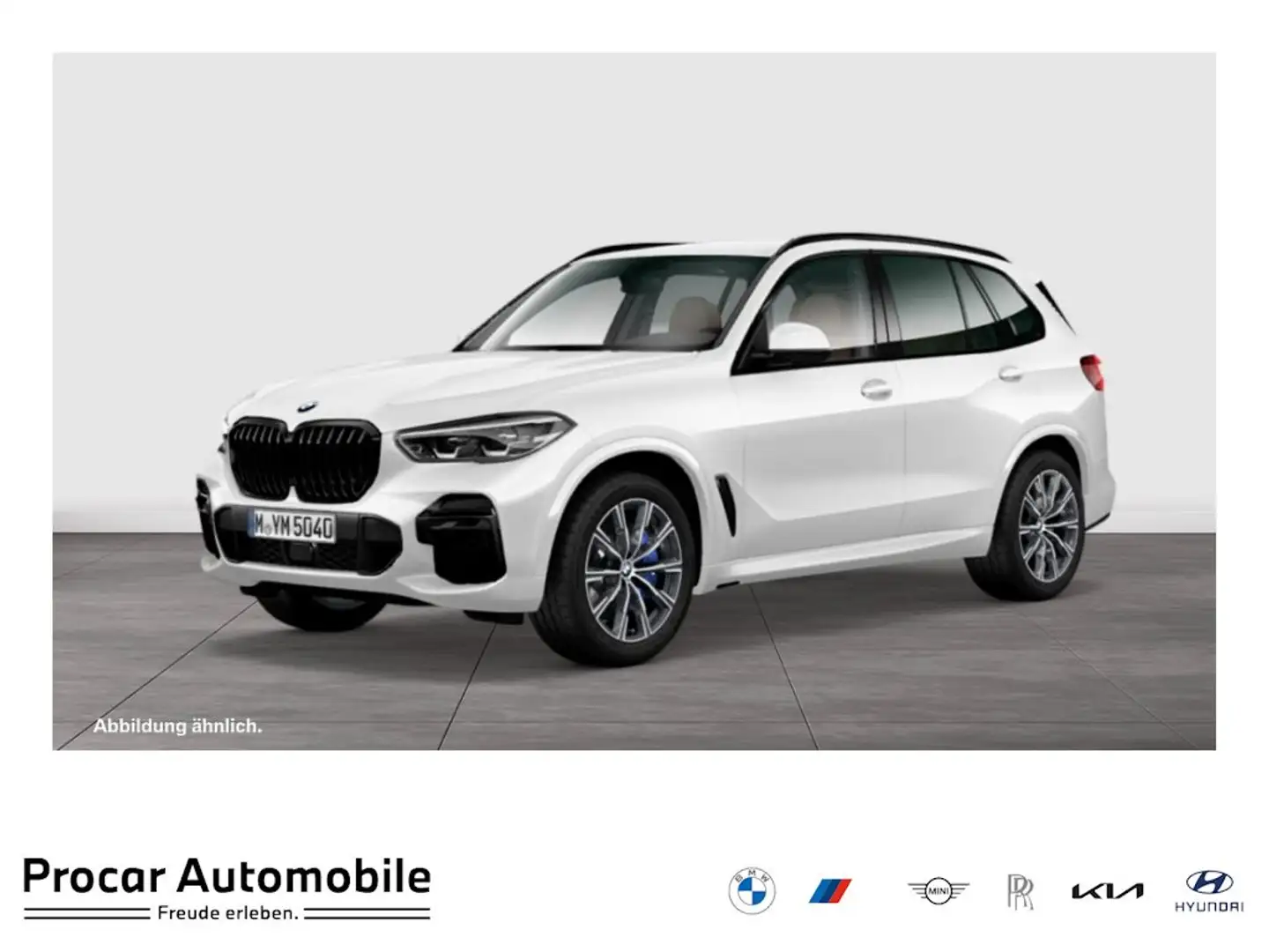 BMW X5 xDrive30d M-Sport Aut Nav LED HiFi Parkass 20" Weiß - 1