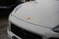 Porsche Cayenne E-Hybrid Coupé LEICHTBAU SPORTPAKET-ACC-BOSE-22 Grijs - thumbnail 13