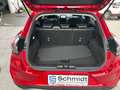 Ford Puma Titanium X 1,0L EBoost MHEV 125PS A7 F Rot - thumbnail 16