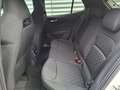 Skoda Fabia Selection TSI Weiß - thumbnail 15