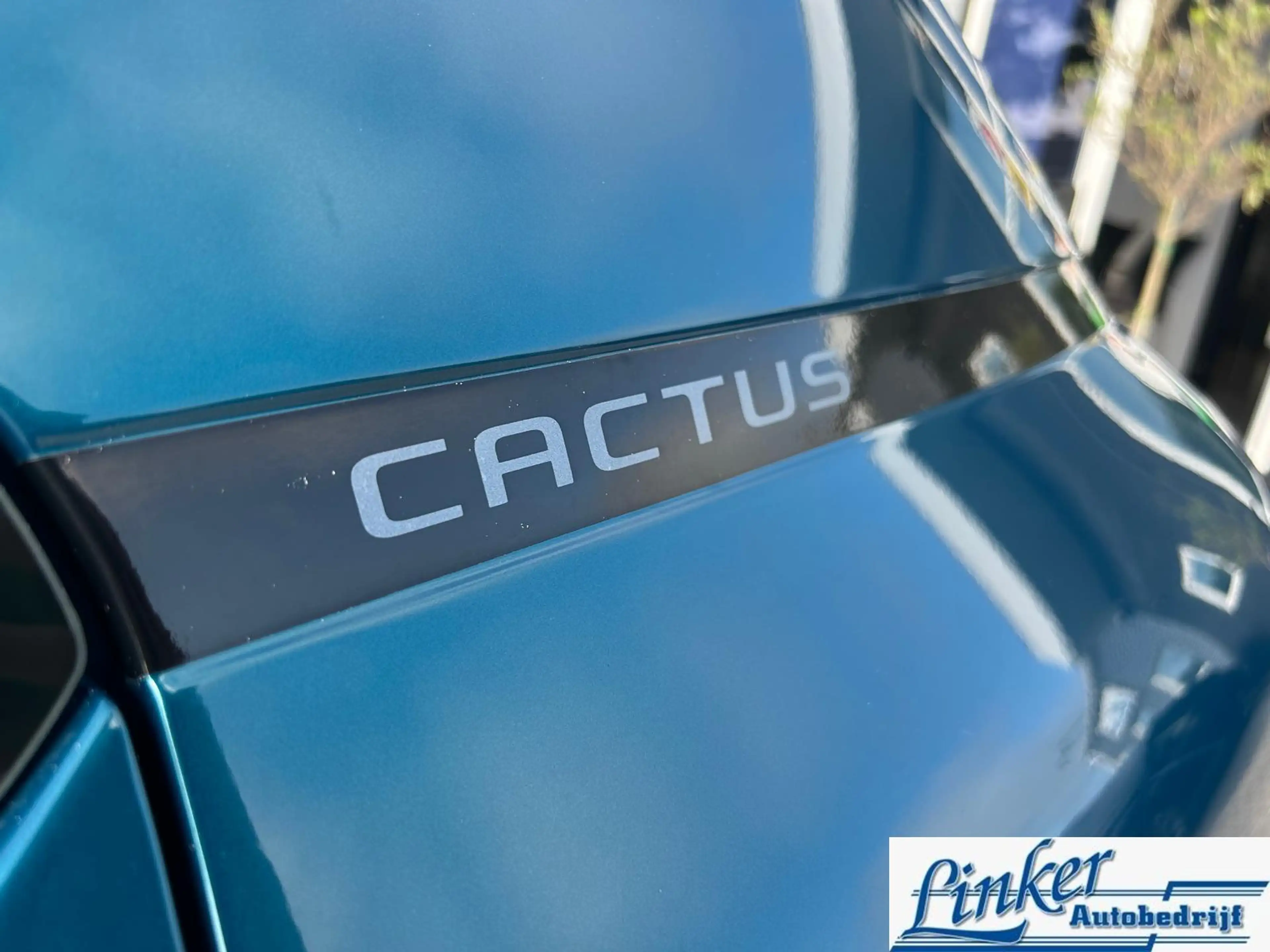 Citroen C4 Cactus 1.2 PureTech Business| NL auto | Carplay | PDC | — photo 11