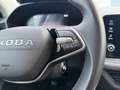 Skoda Fabia 1.0 TSI Selection 70kW Azul - thumbnail 10
