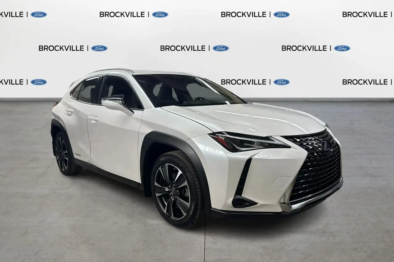2020 Lexus UX