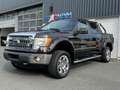Ford F 150 5.0 V8 4x4 LPG Leder Kamera viele Extra´s Schwarz - thumbnail 1