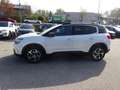 Citroen C5 Aircross BlueHDI 130 S&S Feel EAT8 Aut. Weiß - thumbnail 14