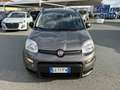 Fiat Panda Panda 1.0 FireFly S&S Hybrid City Life Grigio - thumbnail 2